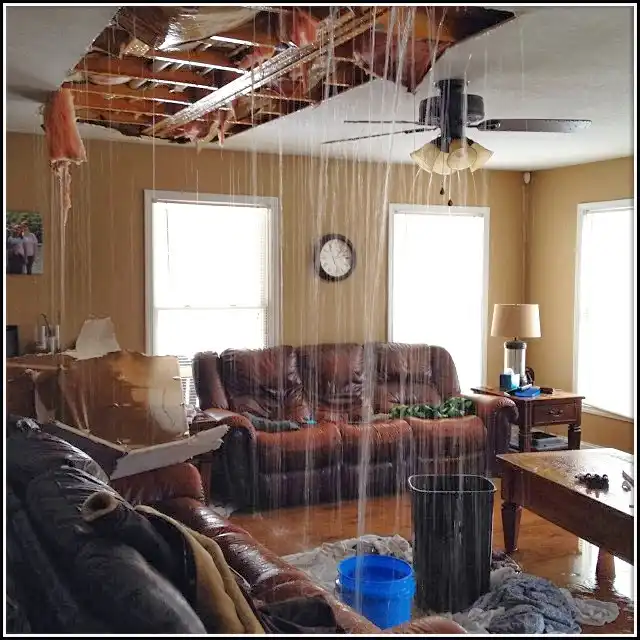 Water Damage Restoration in Alexandria, VA