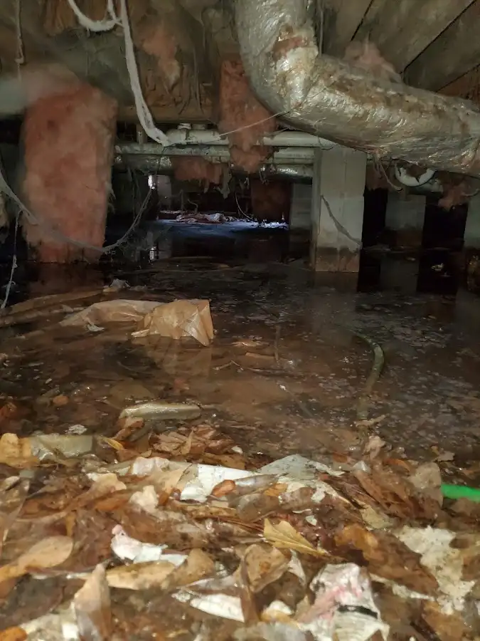 Crawl space flood assessment for Leak Detection & Repair in Alexandria